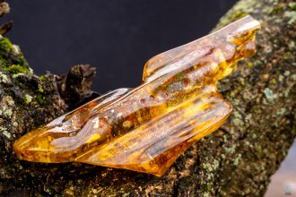 Amber Crystal