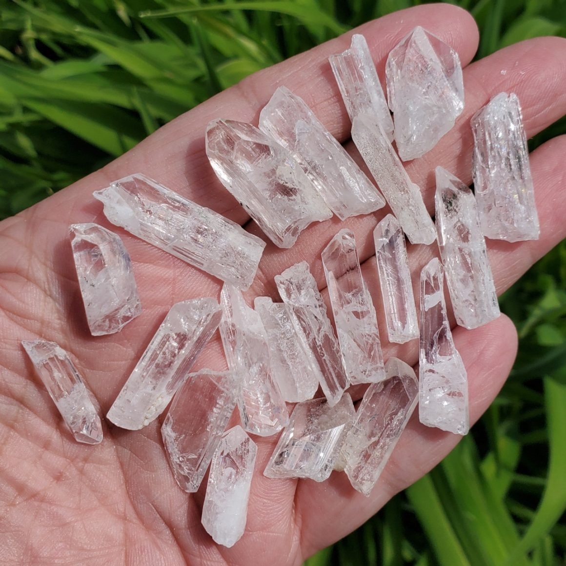 Danburite Crystal