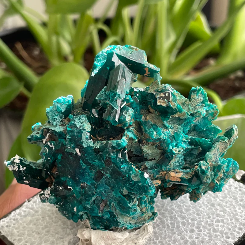 Dioptase Crystal