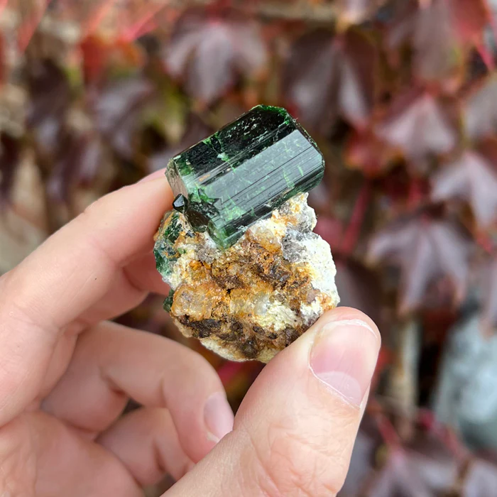 Tourmaline Crystal