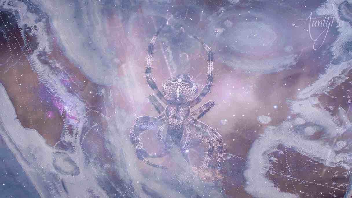 What It Means to Dream About Spiders